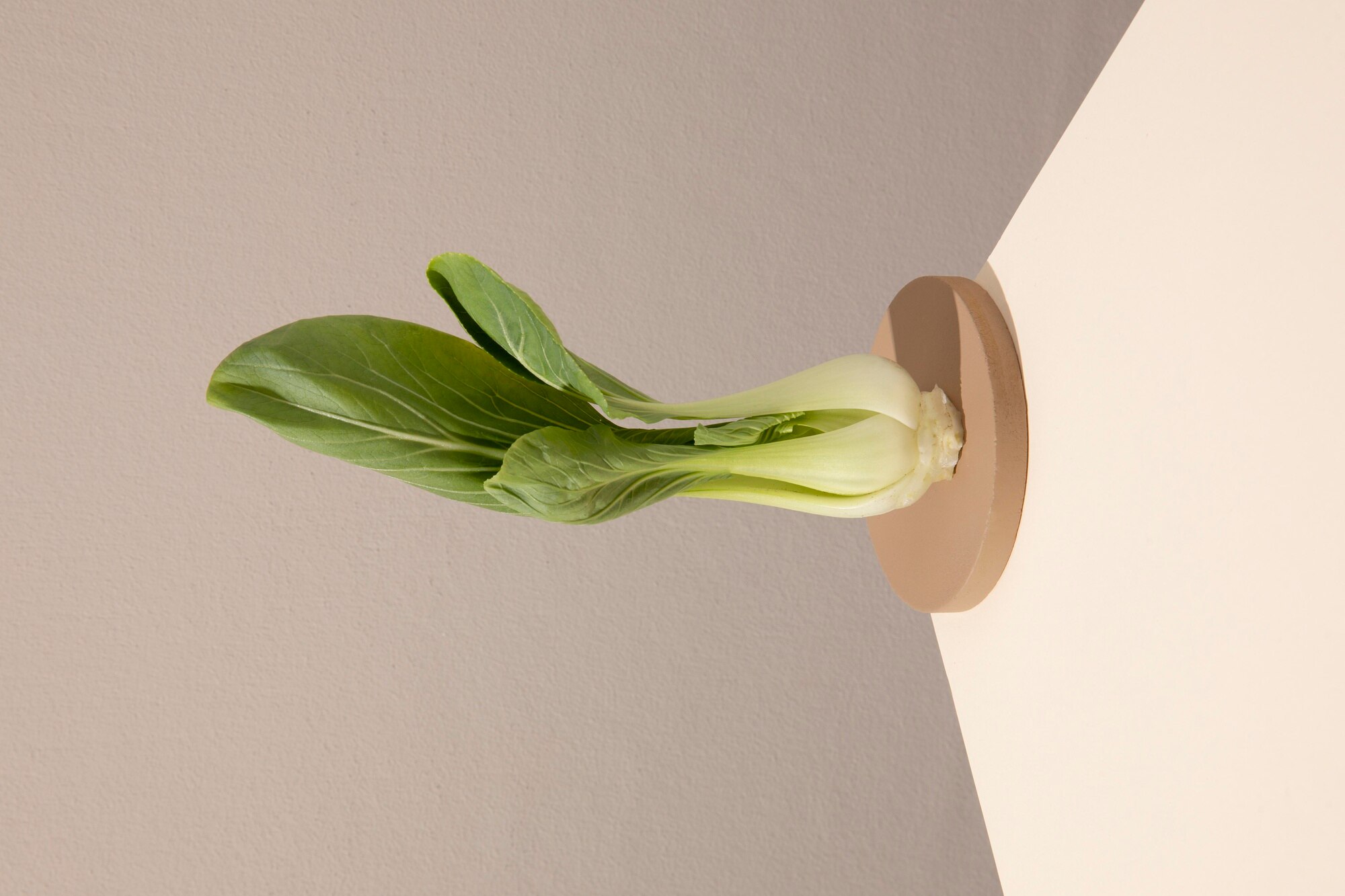 Detalle minimalista